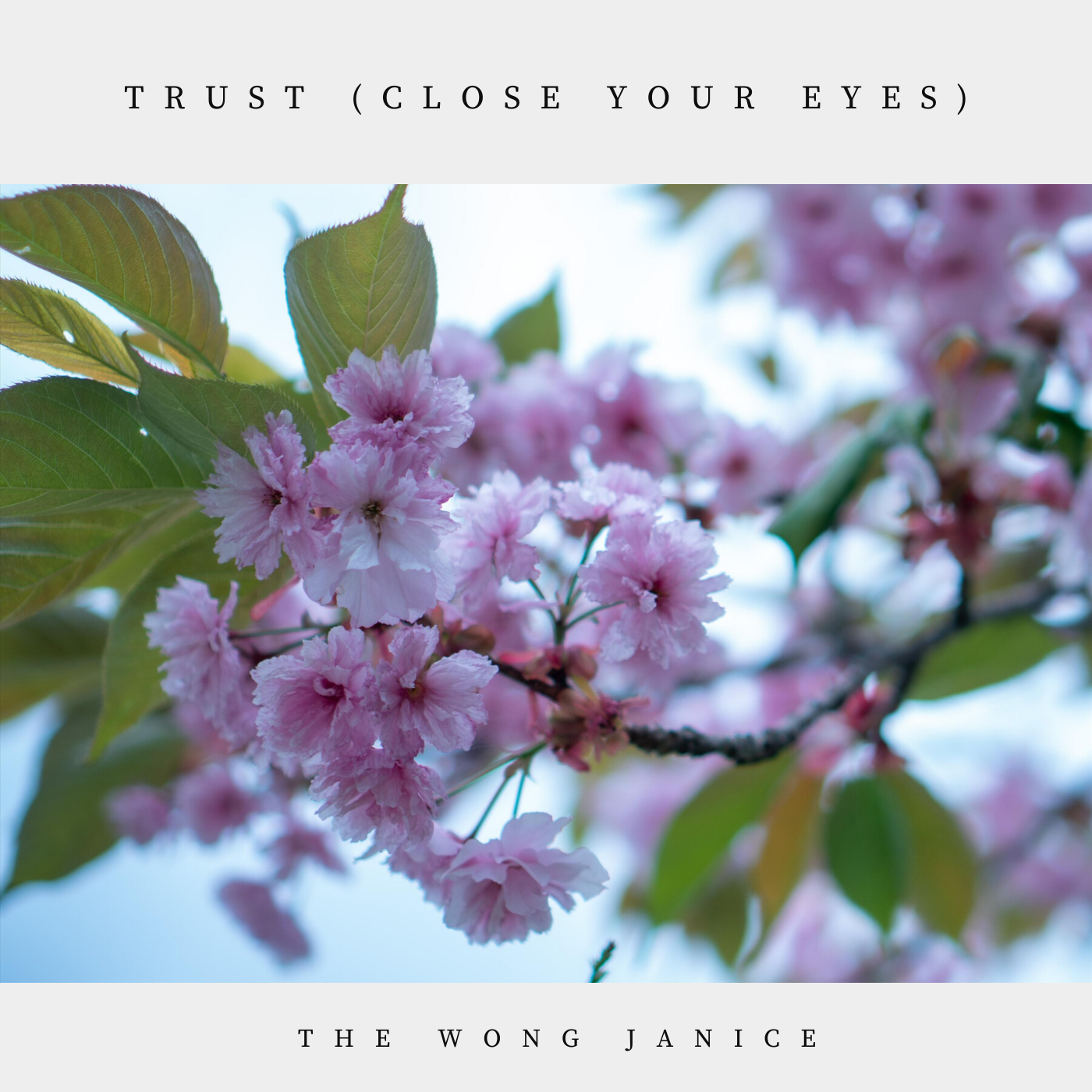 "Trust" Bundle (Digital)